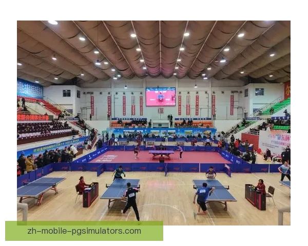 乒乓球杯赛：全球精英争霸，激情角逐闪耀舞台