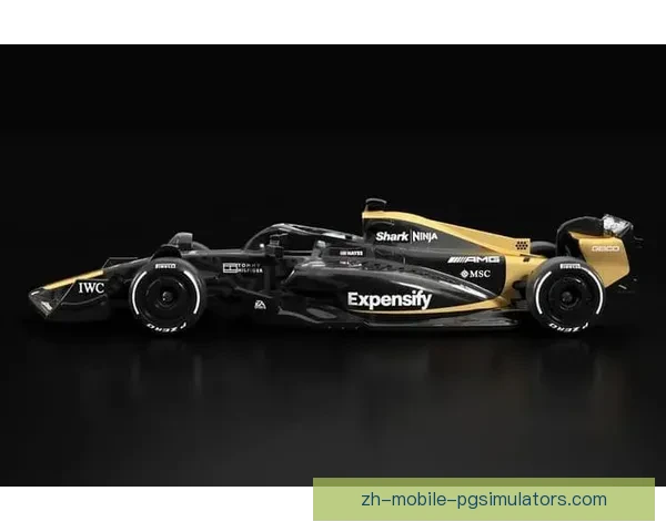 F1座驾驾驶技巧解析及实战指南