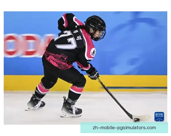 2022冰球公开赛：热血冰场上的精彩对决