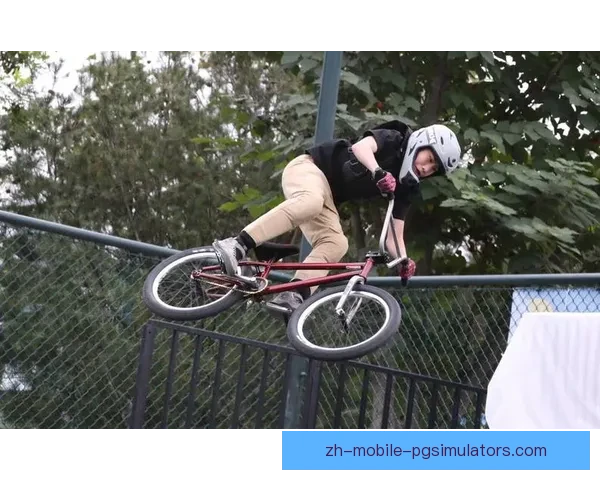 BMX赛事积分榜揭晓，谁将夺得桂冠？