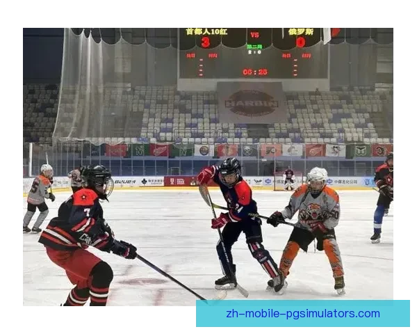 全新赛季：冰球热情再次点燃