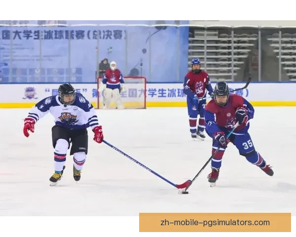 冰球大战！激烈对决，惊心动魄一役，胜者笑傲全场，败者黯然离场