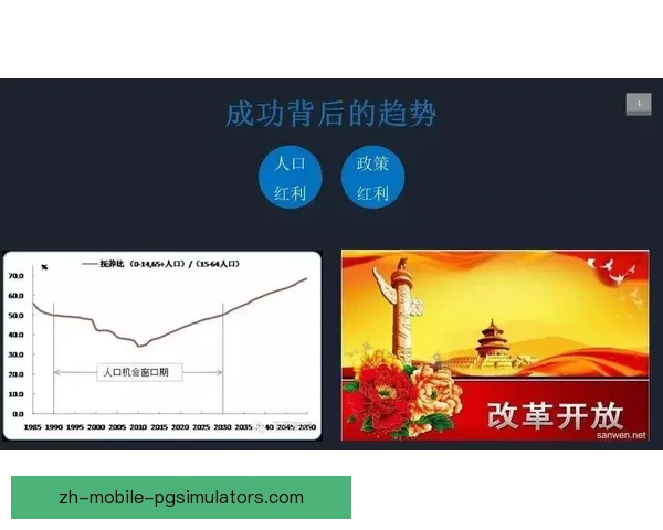 冲浪趋势研究：数据分析洞察与预测