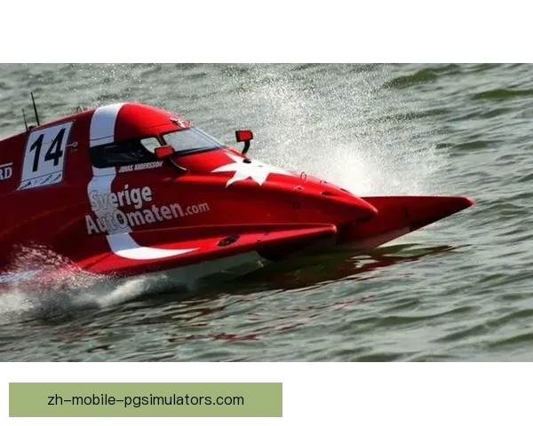 刷新赛艇世界纪录：速度与激情