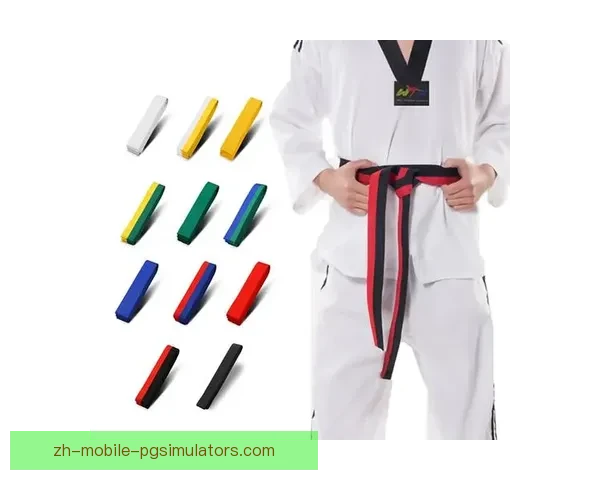 学会跆拳道的基本功技巧步骤