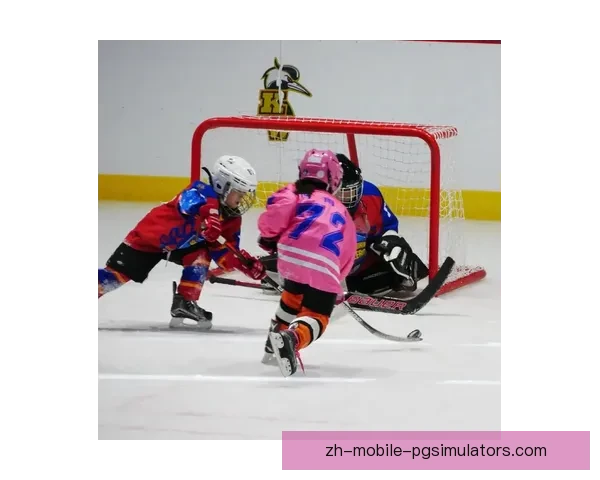 提高冰球投注成功率的实用技巧分享