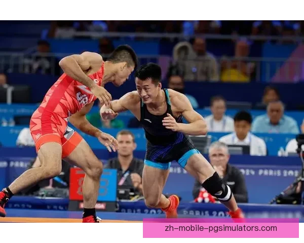 摔跤世界纪录:挑战巅峰,勇者无畏 摔跤世界纪录:挑战巅峰,勇者无畏