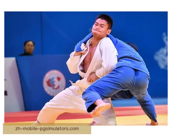 柔道比赛规则解读及进阶技巧分享