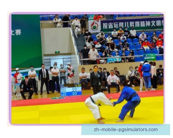 柔道邀请赛：荣耀之路