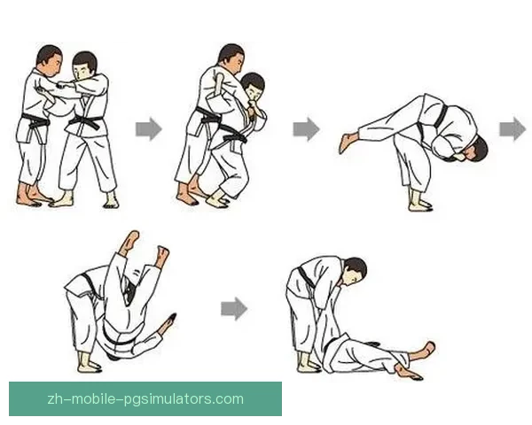 柔道排名解析及技术特点分析