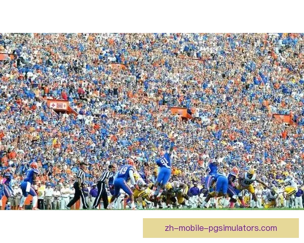 橄榄球赛制解析及比赛规则精解 橄榄球赛制解析及比赛规则精解