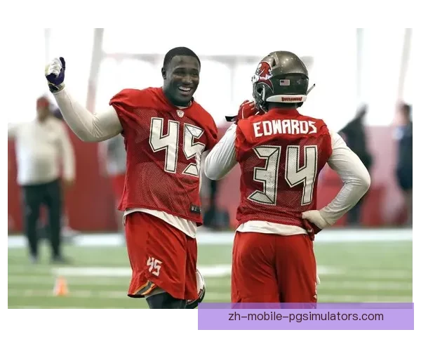 橄榄球世界纪录：探寻全球最令人瞠目结舌的壮举