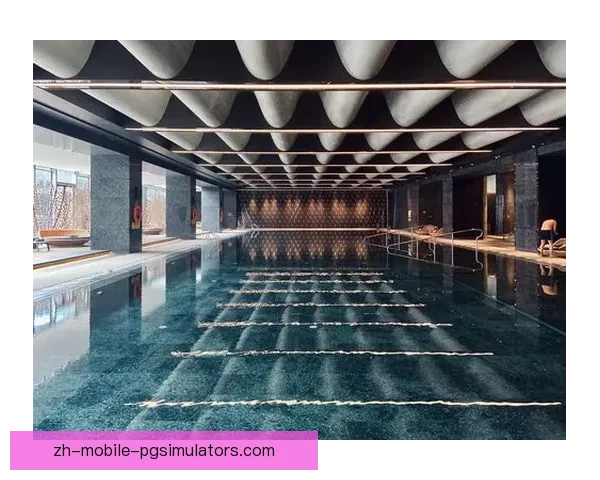 泳池中的风云：激情碰撞，速度交融