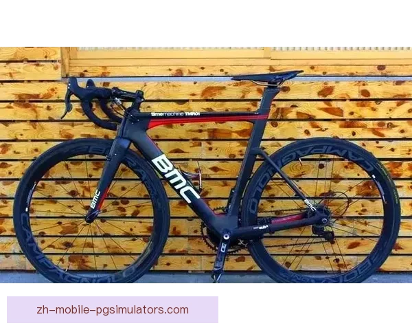 自行车投注技巧大揭秘:赛事分析、策略分享及实战经验总结 自行车投注技巧大揭秘:赛事分析、策略分享及实战经验总结