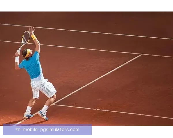 网球初学者必备技巧及入门指南