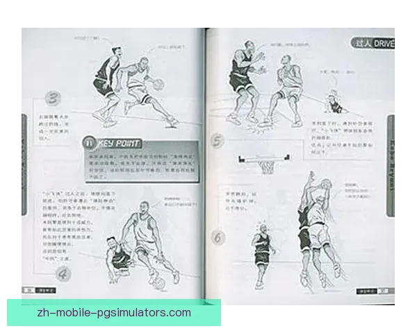 篮球投注技巧大揭秘：让你成为投注高手！