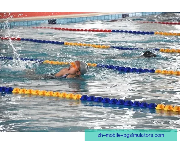 跳水比赛规则解析及技术要领分享