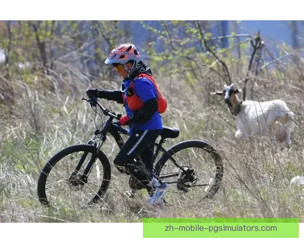 骑行风采：重温自行车赛事精彩瞬间