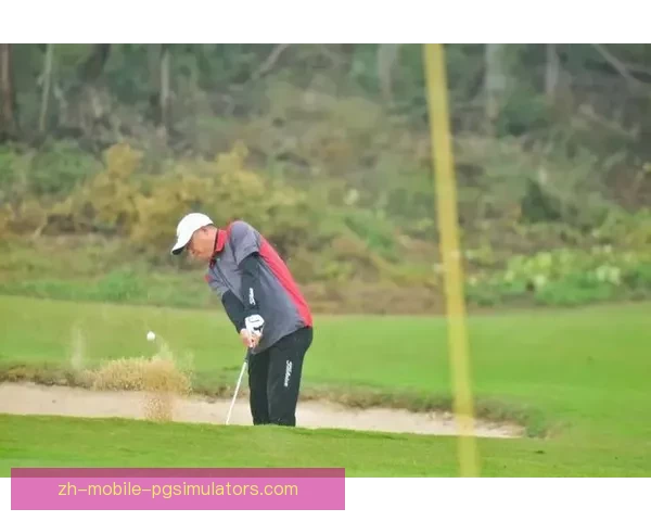 高尔夫直播全方位解说体验，带你畅享高尔夫球场的魅力